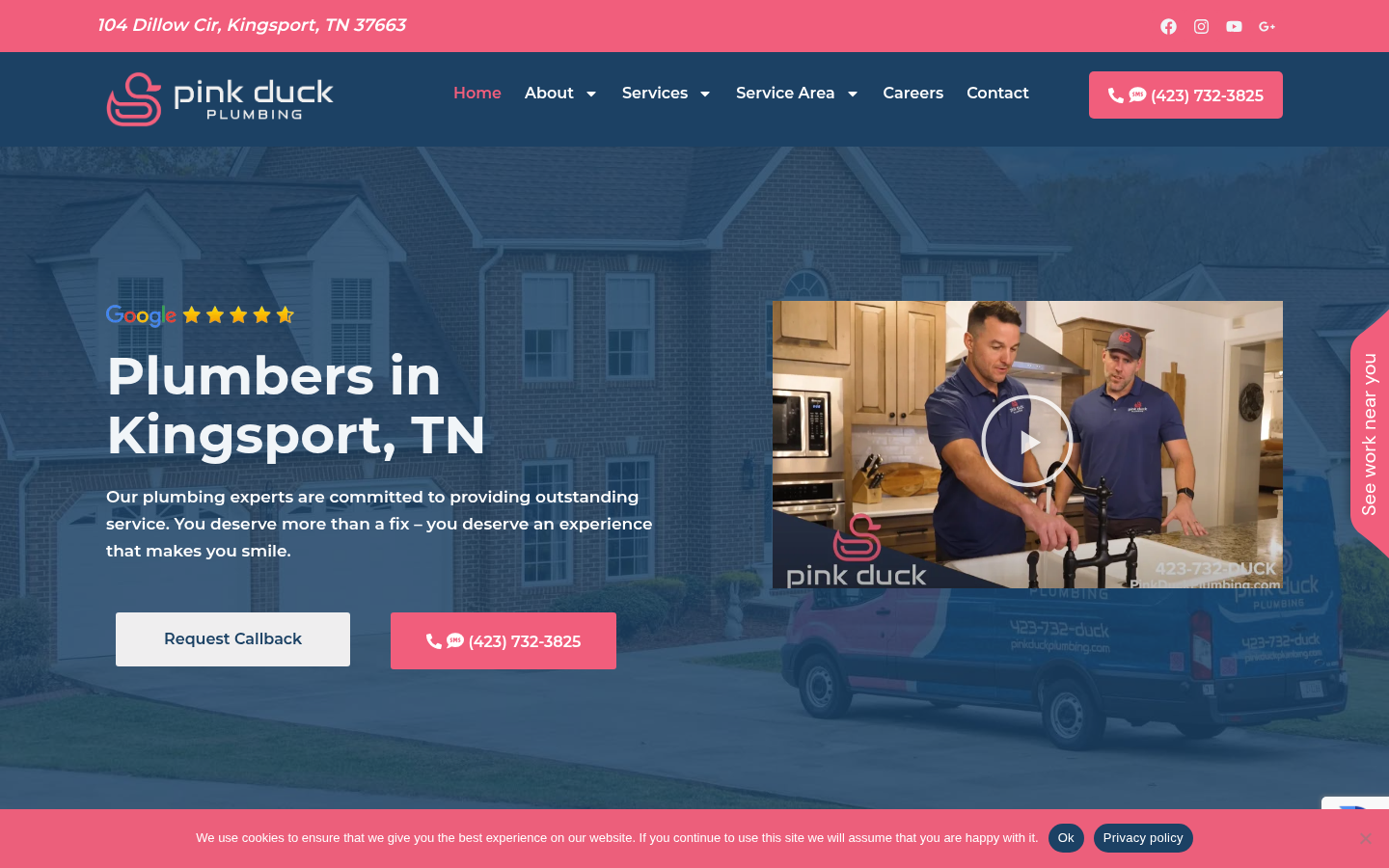 Pink Duck Plumbing homepage
